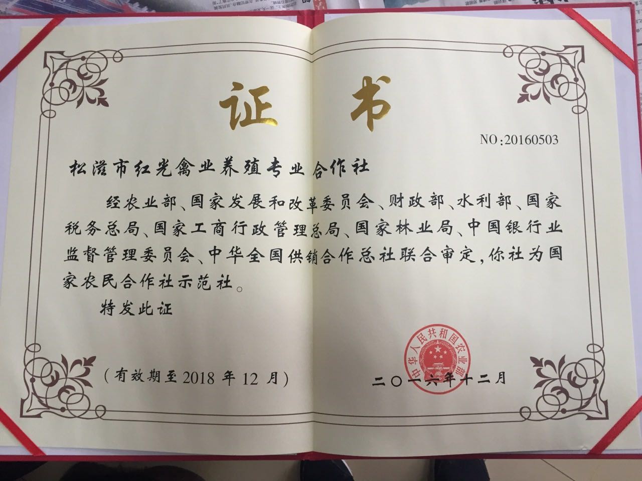 国家示范社