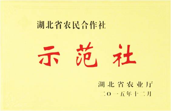 省示范社